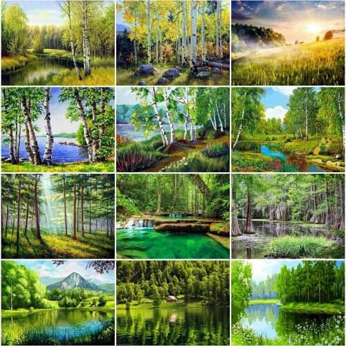 EverShine Diamond Painting Tree Landscape Full Square Diamond Embroidery White Birch Lake Picture Rhinestone Mosaic Handmade Art