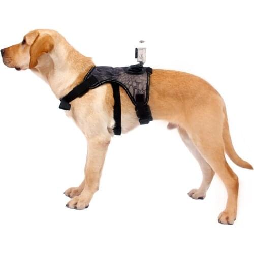 Adjustable Neck Ring Bust And Waist Belt Dog Harness With Camera Mount From Dog Perspective Dog Harness For Medium Large Dogs