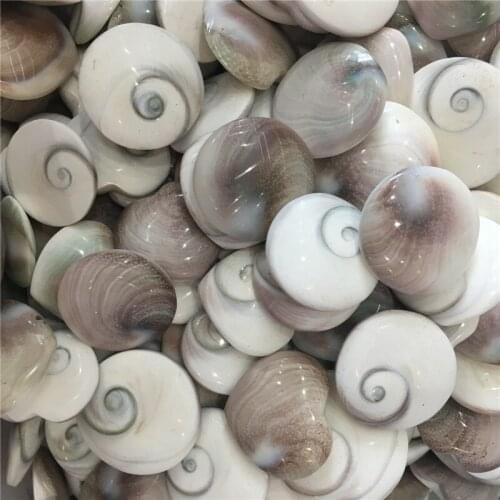 10pcs beautiful natural stones and minerals sun conch shaped gemstones healing crystals for home decoration&making DIY panddent