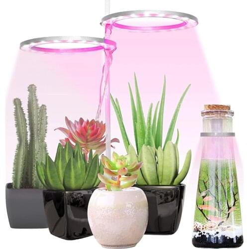 Free_on Plant Lamps