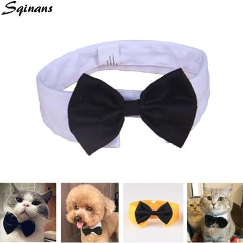 Sqinans Dog Accessories
