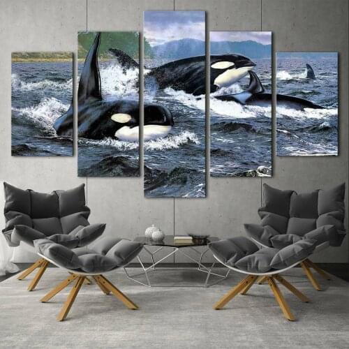 5 Piece Orca Stration Killer whale Ocean Poster Picture Print Wall Art Canvas Painting Wall Decor for Living Room No Framed