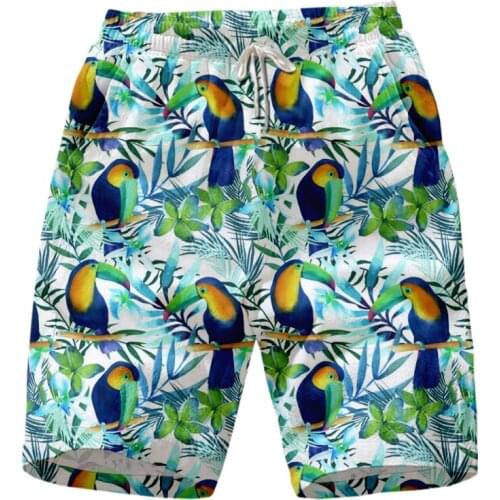 2020 Summer Colorful Parrot 3D Printed Oem Fashion Man Shorts