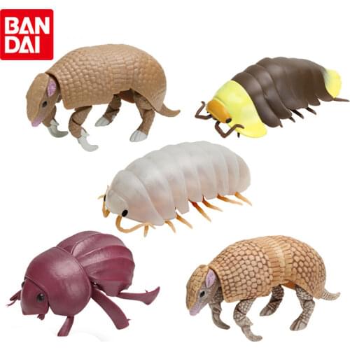 Bandai Genuine Gashapon DANGO MUSHI 08 Porceeio Laevis Tolypeutes Tricinctu Anime Action Figures Simulation Model Gacha Toys