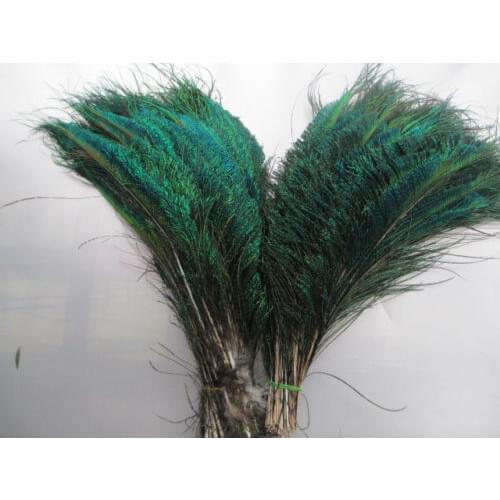 Free shipping! 100 PCS natural color 30-35 cm / 12 to 14 inches beautiful peacock sword