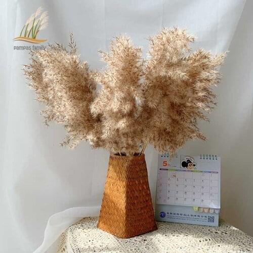 Pampas Grass Decor Plants Bouquet Natural Reed Tall 20-22'' Home Wedding Decor Dried Flowers Artificial Flowers Fashion