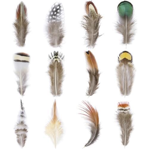 50pcs Natural Plume Mixed With Pheasant Feathers For Making Earrings And Cat Toys DIY Crafts Family Party Plumas Decoration
