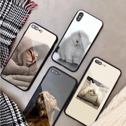 Cute Cat Tempered Glass Phone Case For iphone 12 11 Pro Max 5 6 7 8 X XS XR XSMax Shell 12Pro Max Cover Shell