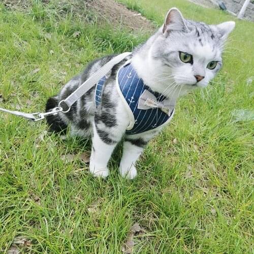 Pet leash cat and dog leash vest-style anti-strike chain cat leash breathable chest harness for pets cat and puppy supplies 0220