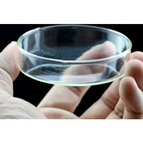 Transparent Aquarium Fish Tank Shrimp Food Feeding Circle Glass Feeder Floating Bottom Feeder Fish Shrimp Accessories Hot sell