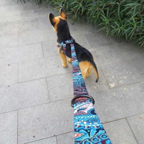 1.2M 1.5M 3 Meters Pet Dog Leash Leads Rope Tape For Small Medium Chihuahua Travel Training Walking Straps Supplies Accessory