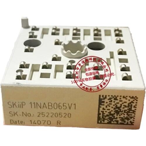 SKIIP11NAB065V1 SKIIP11NAC063IT1 Original, Can Provide Test, 1 Year Warranty