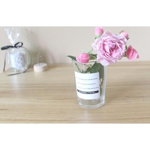 Planter Vase Transparent Glass Flower Pots Dried Flower Vase Container Desktop Decorative Wedding Party Office Home Decor