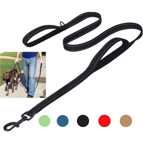 Dog Leash Nylon Rope Double Handle Reflective Pet Leash Medium Large Dogs Greater Control Safety Training Protect Dog Traffic