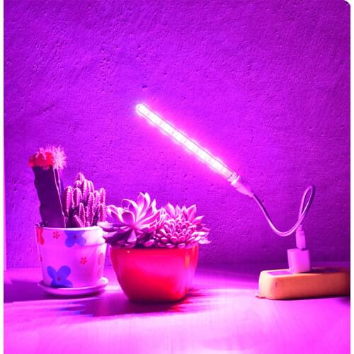 BING&SEN Light Bulbs