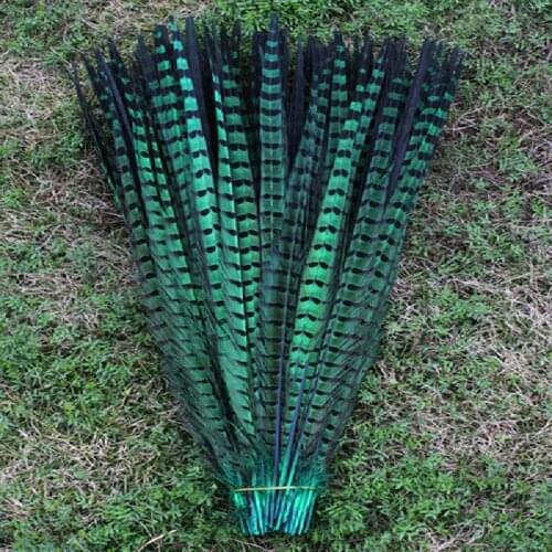 High quality natural green chicken tail feathers 20 PCS 20-22 inches / 50 to 55 cm