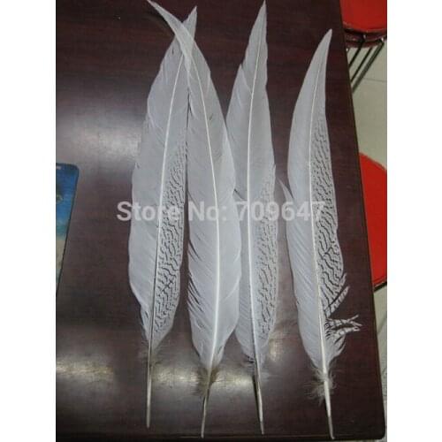 50Pcs/lot!SILVER PHEASANT Tail Feathers 22-24" 55-60cm Tail Craft/Pad/Costume/Hat,Pheasant Feathers,Feather Top