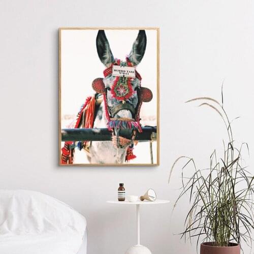 Boho Donkey Photography Poster Print Colorful Animal Portrait Canvas Painting Gallery Wall Art Picture Living Room Home Decor
