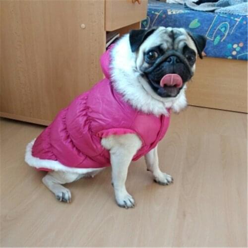 Dog Down Coat Jacket Winter Dog Clothes Pet Clothing Puppy Outfit Chihuahua Yorkie Poodle Pomeranian Schnauzer Corgi Costume