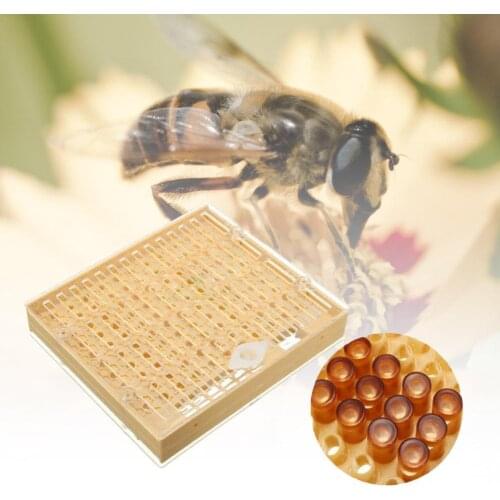 Bees Tools Cages King Queen Rearing Cup Kit System Bee Beekeeping Box Nicot Catcher Complete Cell Cups Kit Cage Q2B0