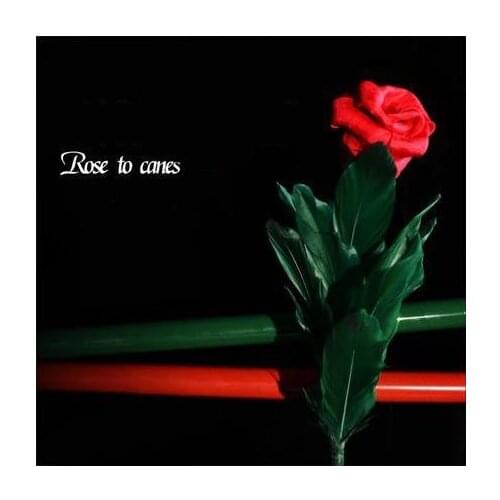 Rose To Canes - Flower Magic Tricks,Mentalism,Street Magic,Stage,Close Up,Comedy,Joke,As Seen On Tv,Illusions,Magia Toys