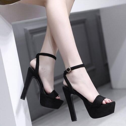 Ladies sandals summer new fashion 14cm super high-heeled single shoes waterproof platform sexy buckle high-heeled shoes