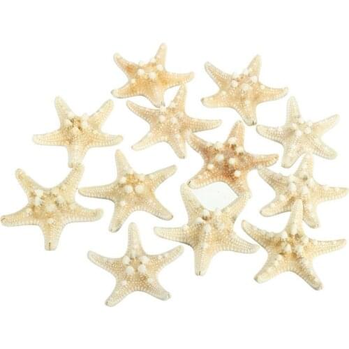 12 x White Knobby Starfish 5cm -7cm Sea Star Shell Beach Wedding Display Craft Decor