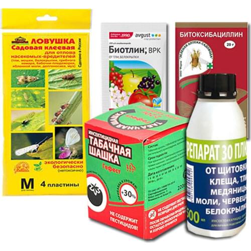 Зеленая аптека садовода Garden Sprayers