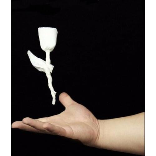 5 pcs Magic Paper (paper to rose etc...) --Magic Trick ,Fire Magic