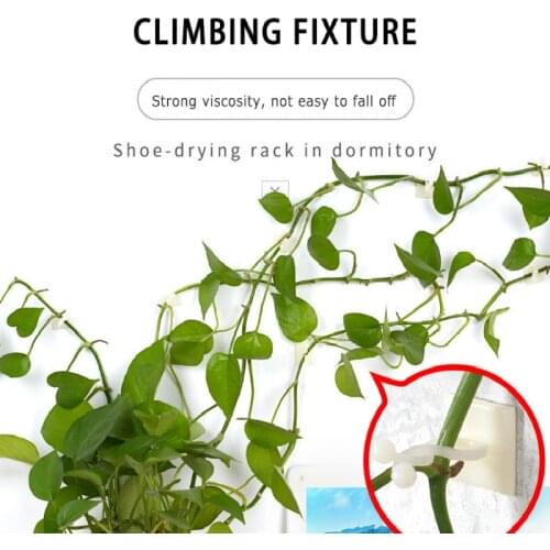 Potted Support Invisible Wall Rattan Clamp Clip Fixed Clip Bracket Plant Stent Supports Invisible Wall Vine Climbing Sticky Hook