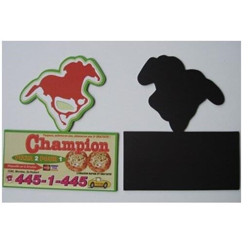 Colorful Fridge Magnet With Customized Logo For Promotion,UV Resistant Outdoor double sided magnet ---DH12919