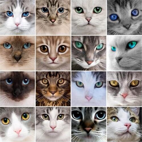 DIY 5D Diamond Painting Cat Eye Cross Stitch Diamond Embroidery Sale Animal Mosaic Rhinestones Full Drill Drill Handmade Decor