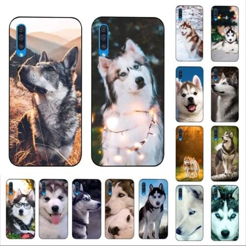 YNDFCNB Animal Husky cute Puppy Dog Phone Case for Samsung A30s 51 5 71 70 40 10 20 s 31 A7 A8 2018