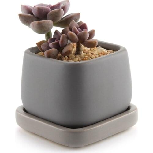 Ceramic Modern Mini Square Succulent Plant Pot Cactus Plant Pot Container With Grey Tray Matte Grey