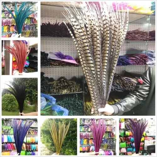 Wholesale 10pcs Natural Lady Amherst Pheasant Tail Feathers Plume 60-70cm/24-28inches Jewelry Christmas Holiday Decoration