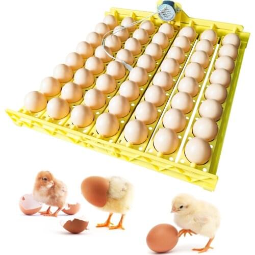 High Quality Egg Incubator Tray Plastic 56 Chicken Eggs Duck 28 Eggs Tray 110V/220V and 12V with Automatic Rotating Motor Coop