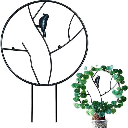 Creative Vine Climbing Rack Iron Vegetables Plant Trellis Durable Plant Support Frame Plant Flower Decorative Gardening Tools