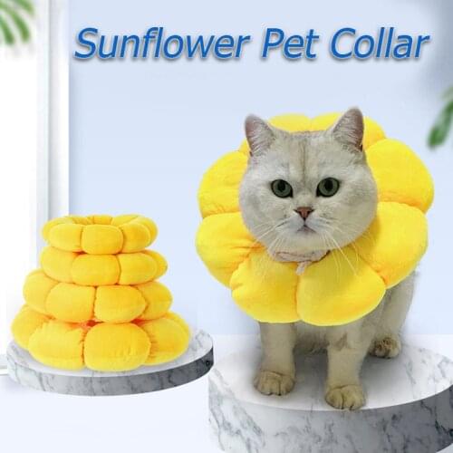 New Pet Sunflower Shaped Elizabethan Protective Collar Pet Cat And Dog Neck Ring Neck Hood Anti-scratch And Anti-lick Headgear