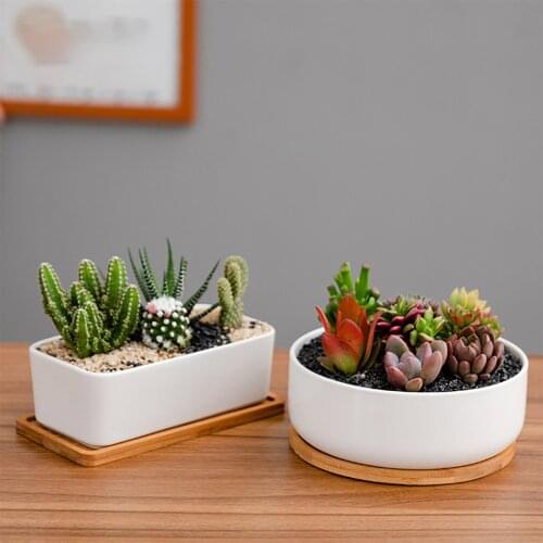 Ceramic Pot Flower Vase Flowerpots Desk Saucers Garden With Drainage Hole Container Bonsai White Decor Outdoor Succulent Basin