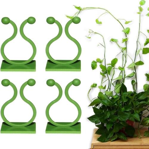 30/50PCS Plant Climbing Wall Self-Adhesive Hook Fixture Clips Invisible Rattan Clamp Fixture Wall Sticky Hook Plant Support