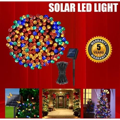 TAPNM Festive Lighting