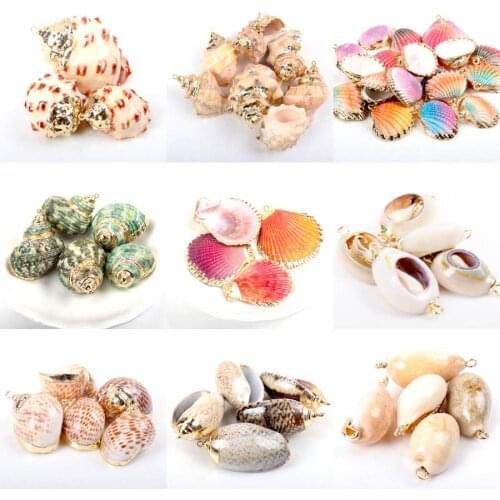 Gold Natural Shell for Jewelry DIY handmade charms pendant SeaShells Home decoration 5pcs