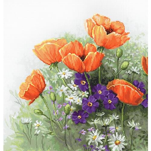 2020 New Arrival DIY Artwork Poppies Embroidery Kit for Beginners India with 100% Cotton Flosses & Free Shipping for Home Decor