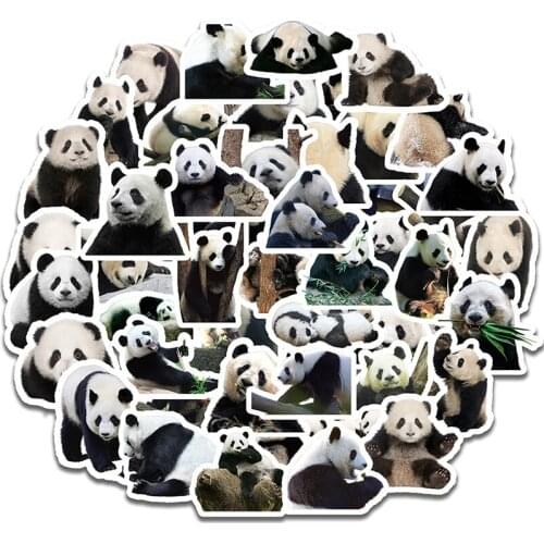 50PCS Panda Cartoon Cute Sticker Classic Graffiti For Suitcase Laptop Skateboard Styling Phone Luggage Decals Toy Stickers F4