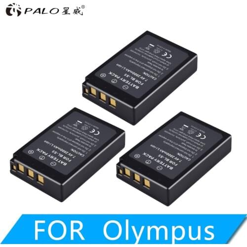 PALO Camcorders