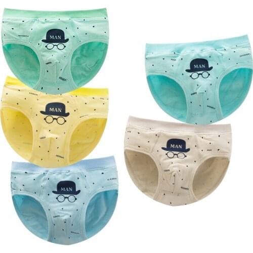 10 Pcs / Lot Boys Briefs Gifts Underpants Childrens Underwear Boy Briefs Baby Cotton Cartoon suit 2-10 years