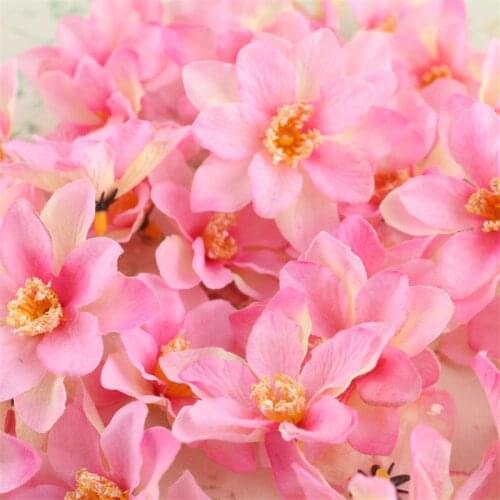 Vieruodis Artificial Compositions