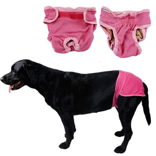 Washable Female Physiological Pants Diaper Pet Dog Underwear Shorts For Puppy Small Meidium Girl Dogs