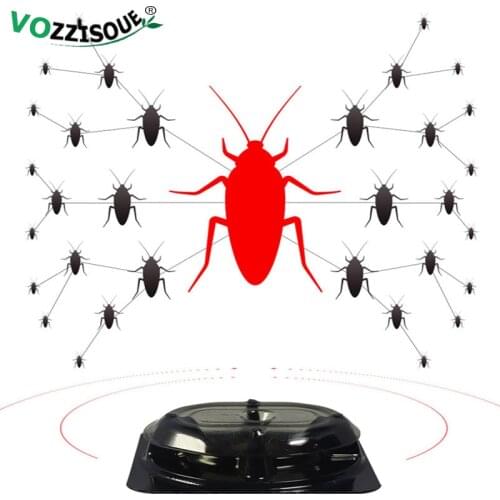 Vozzisoue Traps