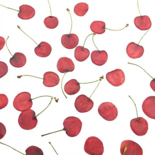 5pcs Dried Pressed Mini Fruit Cherry Slices Plant Herbarium For Jewelry Photo Frame Phone Case Bookmark Making DIY